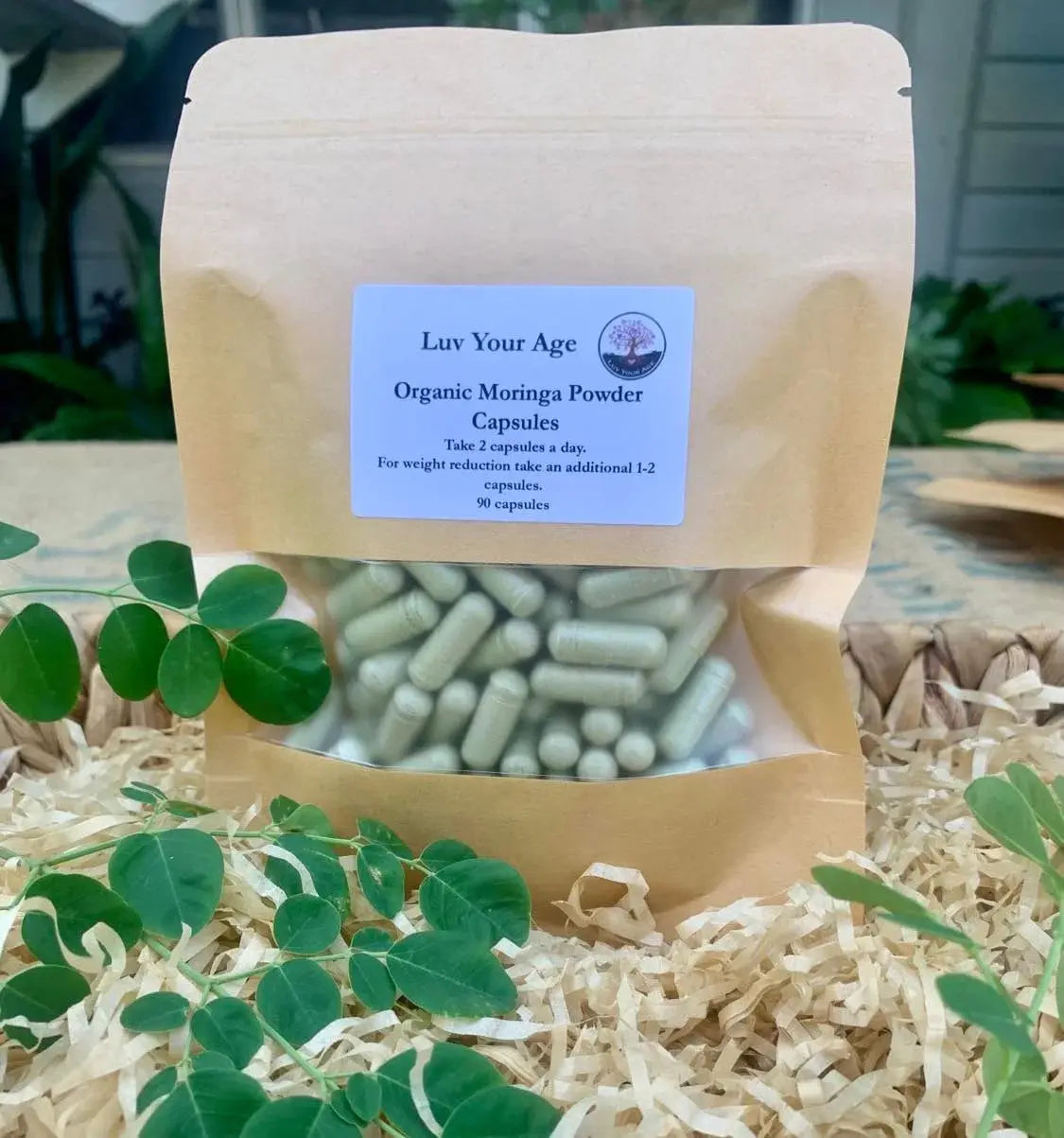 Moringa Capsules for Energy Frontal